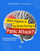 Brain During a Panic Attack.pdf